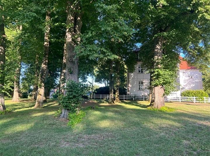 Familienfreundliche Ferienwohnung Mit Wintergarten Badow Extérieur photo